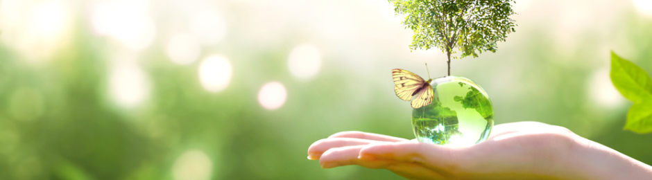 Medio ambiente seguro, compromiso de las empresas sostenibles